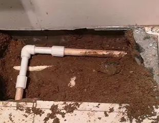 京山测漏水哪家好