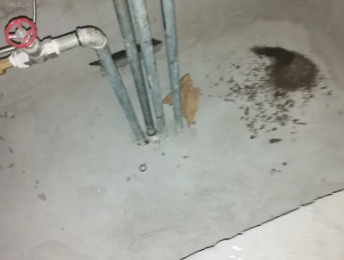 京山卫生间测漏水价格明细