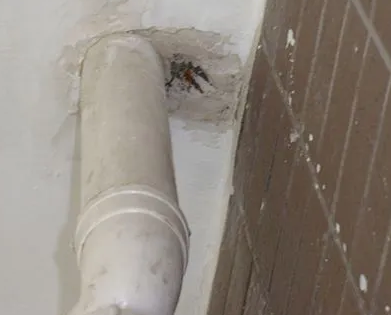 京山漏水检测哪家好